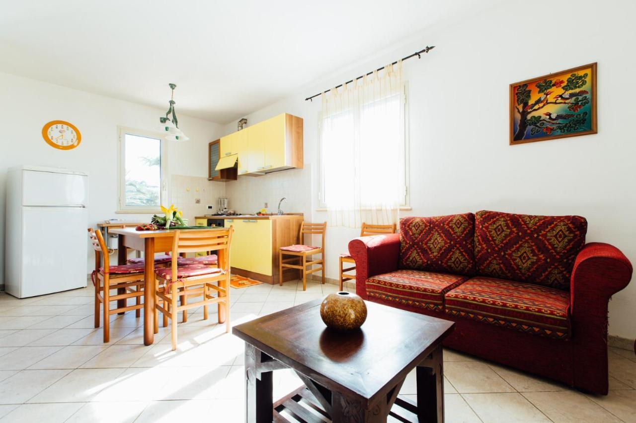 Agriturismo Il Querciolo Grosseto Exteriér fotografie